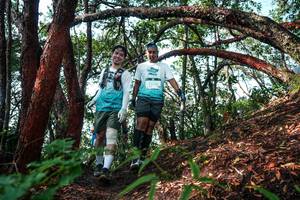 BIB: 
                            <button type="button" onclick="openModal(26345457)" class="btn btn-primary btn-sm float-right btn-popup" data-toggle="modal" data-target=".modal-high-quality">
                        <i class="fas fa-shopping-cart"></i> Add to Cart
                    </button>
                                            <button type="button" onclick="isThisMe(26345457, true)" class="btn btn-success btn-sm float-right btn-popup btn-isme hidden" data-toggle="tooltip" data-placement="bottom" title="นี่คือรูปของคุณใช่ไหม คลิกที่นี่เพื่อเอาเข้าอัลบั้ม">
                        <i class="fas fa-plus"></i> Add to album
                    </button>
                    <button type="button" onclick="isThisMe(26345457, false)" class="btn btn-warning btn-sm float-right btn-popup btn-isnotme hidden">
                        <i class="fas fa-ban"></i> Remove from album
                    </button>